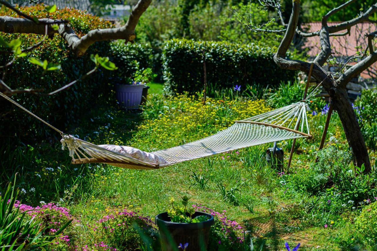 Apartment Macan, Beautiful Green Oasis Pula Zewnętrze zdjęcie