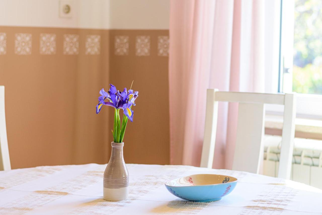 Apartment Macan, Beautiful Green Oasis Pula Zewnętrze zdjęcie